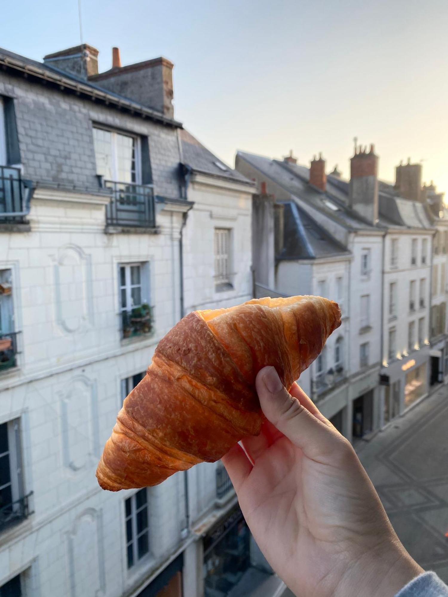 Magnifique Logement Au Pied Du Chateau Blois Esterno foto