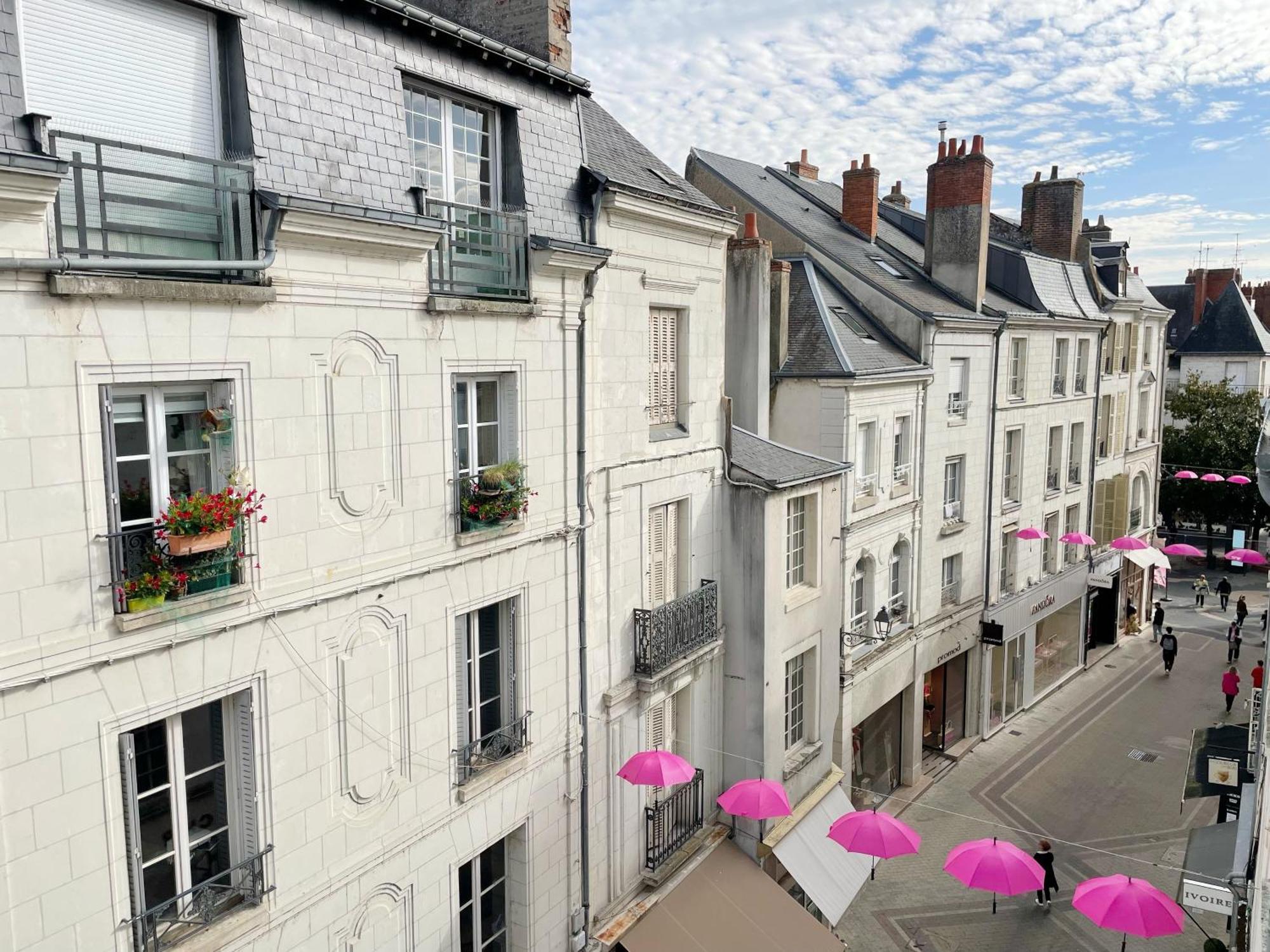 Magnifique Logement Au Pied Du Chateau Blois Esterno foto